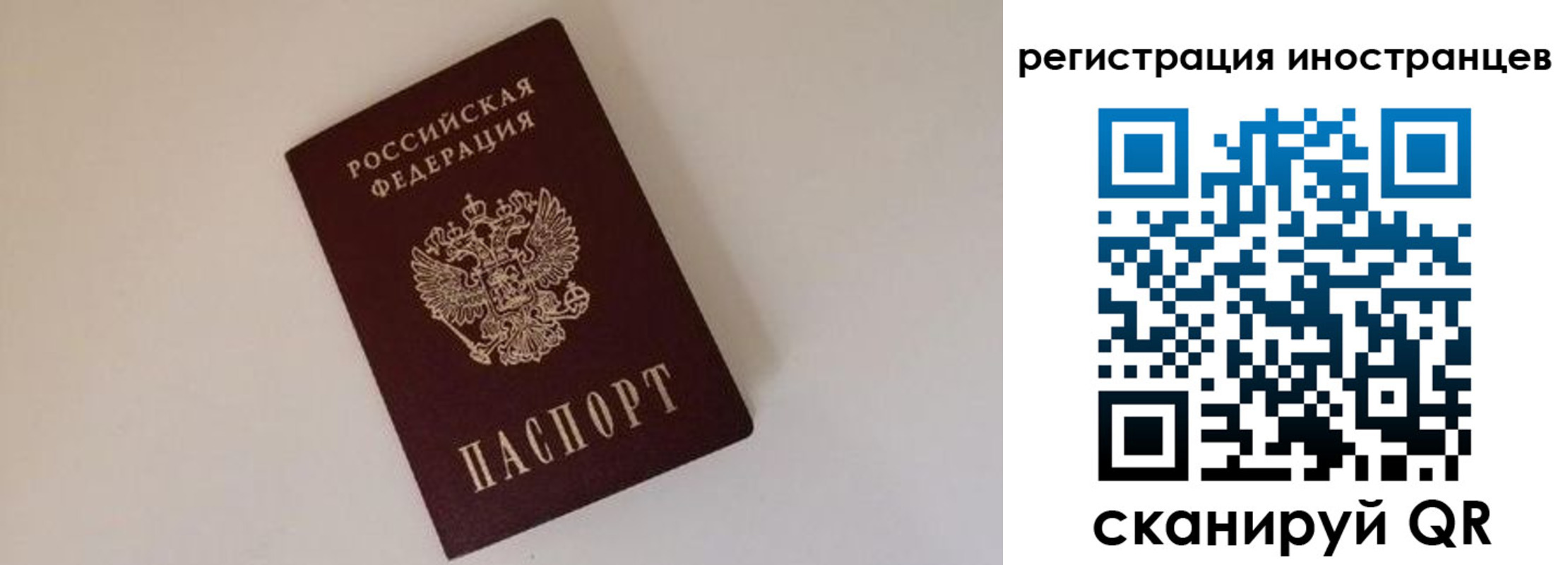 прописка для школы в Тольятти